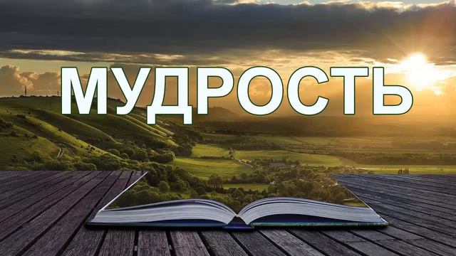 Красивое стихотворение: "Мудрость".  Стих со смыслом. Тринити Тан