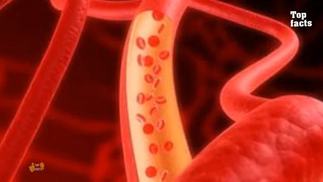 Зачем пить воду с лимоном утром? интересные факты смотреть онлайн