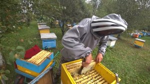ДВУХМАТОЧНЫЕ! ИТОГИ по СЕЗОНУ!