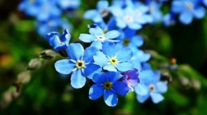 Истории из жизни. Голодный мальчик. Жизненные истории. Интересные истории. Душевные истории.