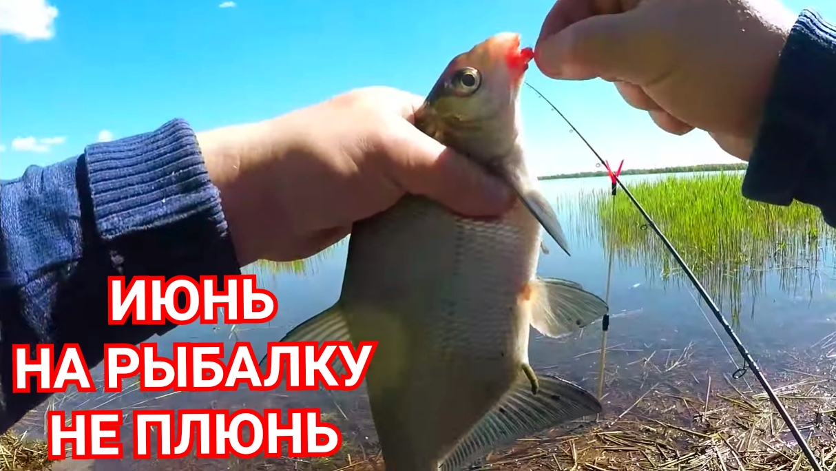 Рыбалка/Ловля подлещика/Июнь на Рыбалку НЕ плюнь