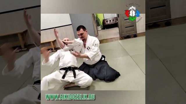 ?Техника Айкидо. Риотэ Дори Кокюхо. Варианты.
