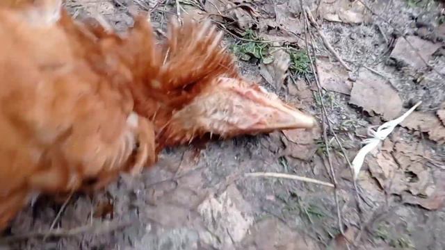 МОЯ ВИНА В ЕЁ СМЕРТИ 😢 смотреть онлайн