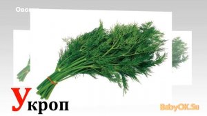 Слова для детей (Овощи)