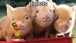 12 POCOYO "Patoooooo!" Sound Variation In 50 Seconds