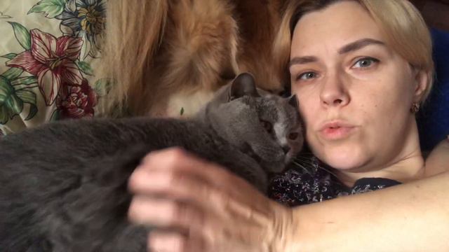 Ласковая кошечка