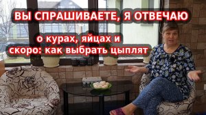 Как почистить яйца за секунды, как варить и как хранить куриные яйца (food (tv genre)