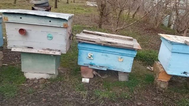 КРЫМСКИЕ ПЧЕЛЫ - ВСЕХ С НОВЫМ ГОДОМ смотреть онлайн