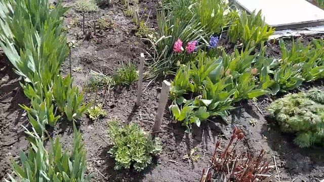 Нарцисс смотреть онлайн