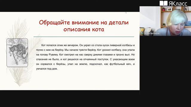 Вебинар «Функциональная грамотность школьника. Модуль 