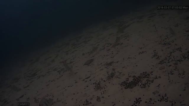 оз. Арахлей, Забайкальский край, г Чита смотреть онлайн