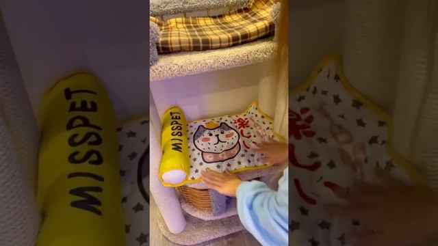 ЛУЧШИЙ ДОМ ДЛЯ КОШКИ ? смотреть онлайн