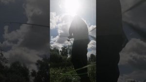 Прогулялся со спиннингом по речке. Июнь 2024.