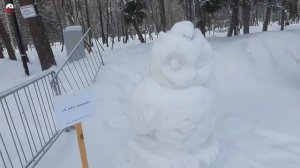 Центральный парк зимой.Новосибирск.18.01.23.