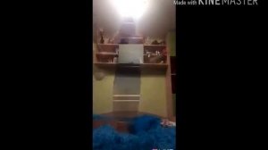 Бобёрчик 100 видео в Llke