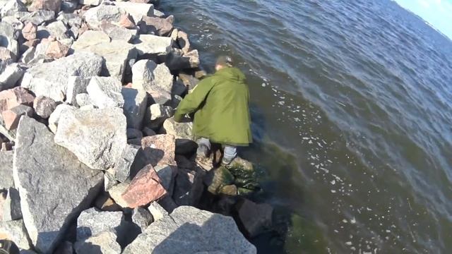 Вытаскиваем садок с рыбой после рыбалки на дамбе Финского залива смотреть онлайн