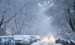 Исторический снегопад обрушился на Ростов-на-Дону
#снегопад #Ростов #замело #снег