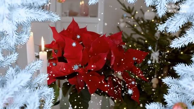 Самого Доброго, Зимнего Вечера, Друзья - Открытка! Душевная Песня! Только Послушайте! Спокойной Ноч смотреть онлайн