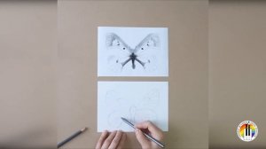 Бабочка. Рисунок простых плоских предметов