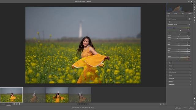 Orange Toon Effect in Camera Raw Filter : Free Preset 2023 смотреть онлайн
