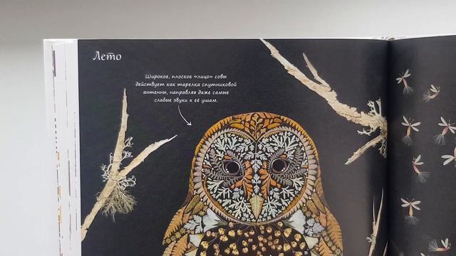 Год в лесу. Хелен Апорнсири. МиФ смотреть онлайн