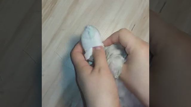 интерьерная игрушка улитка смотреть онлайн