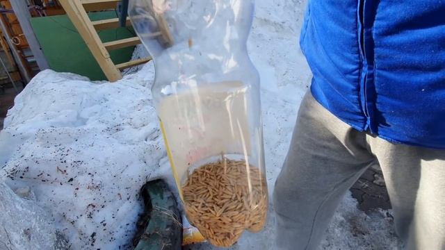 Кормушки для птиц руками ребёнка! смотреть онлайн