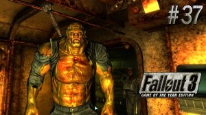 Пленник убежища 87. Fallout 3 (Прохождение) # 37