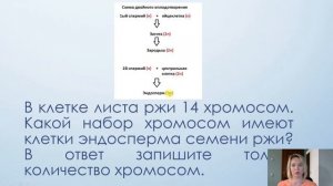 Хромосомный набор клеток. Биология 10  класс.