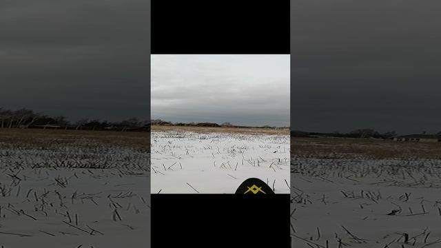 зимний виндсёрфинг