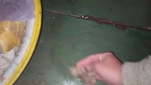 СЛУЧИЛАСЬ БЕДА. РАЗЛИЛ ДОРОГОЕ ПОСТНОЕ МАСЛО НА ПОЛ