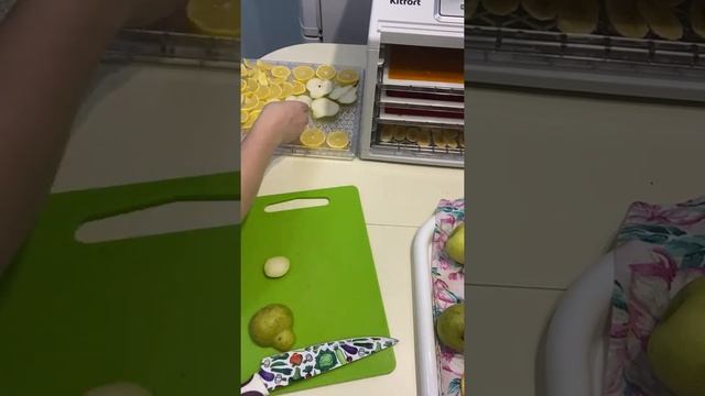 Готовим домашнюю пастилу и сухофрукты в Сушилке для овощей и фруктов Kitfort КТ-1907 #китфорт смотреть онлайн