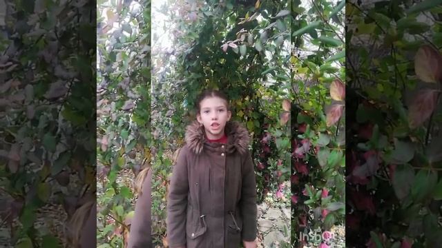 МОУ 51 Вознесенская Анна смотреть онлайн