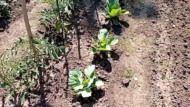 Результат экспериментов. смотреть онлайн