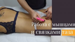 Массаж ягодичной зоны. Массажные приемы работы с мышцами и связками таза.