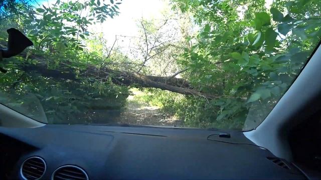 Рыбалка в Заяре, РАЗВЕДКА ПЕРЕД БОЕМ, ПОЛЧИЩЕ КОМАРОВ И МОШКИ,ФЛЭТ-ФИДЕР смотреть онлайн