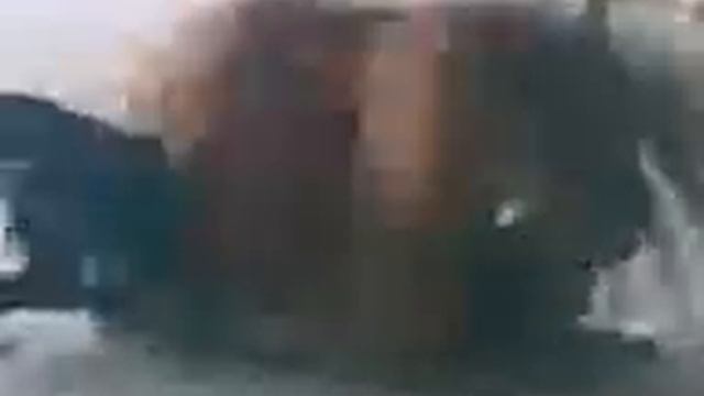 петух в действии смотреть онлайн