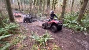 2019 Kawasaki brute force 300 mudding