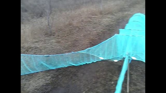 Креветку ловим вот такими вентерями