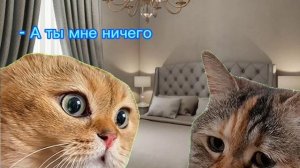 ДОХОД НА МЕМАХ