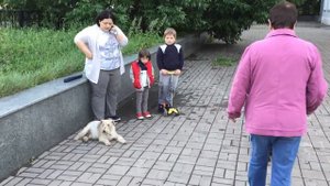 8 июня 2018 г.
