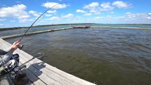 Ловля карпа на Шарташе на матчевую поплавочную удочку. Рыбалка в Екатеринбурге на платном водоеме