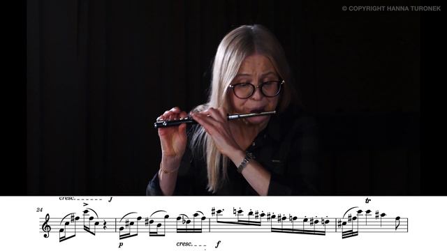 Hanna Turonek -The new original piccolo flute etudes. Etude no.33 "Aviary". смотреть онлайн