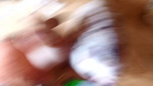 Шлëпа,капибара и хренобус слушают PHONK