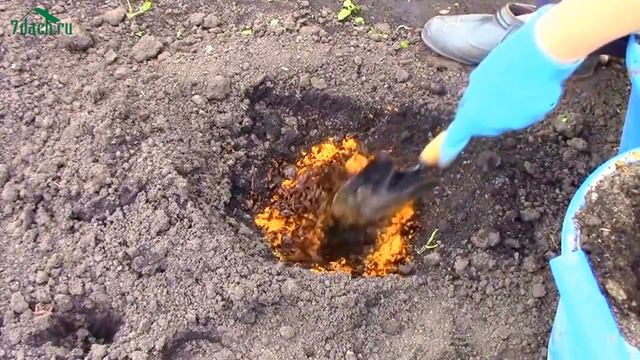 Удобрение из отходов - 7 дач смотреть онлайн