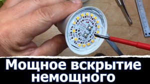 Вскрытие Ergolux 20 Вт E27 A65 показало