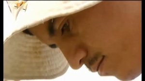 Как выращивают био креветок