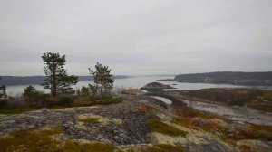 Вид на Сафоново, Сафоново-1, Кольский залив 20.09.16