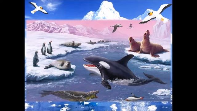 Путешествие по континентам и странам смотреть онлайн