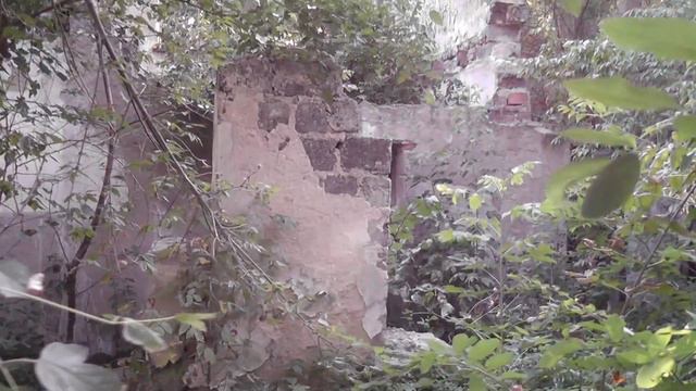 Заброшенный детский лагерь. Звездочка Ильича.